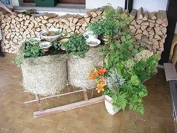Отель Bellavista