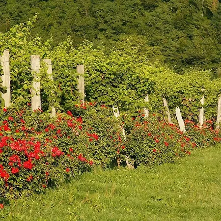 Bellavista Ξενοδοχείο